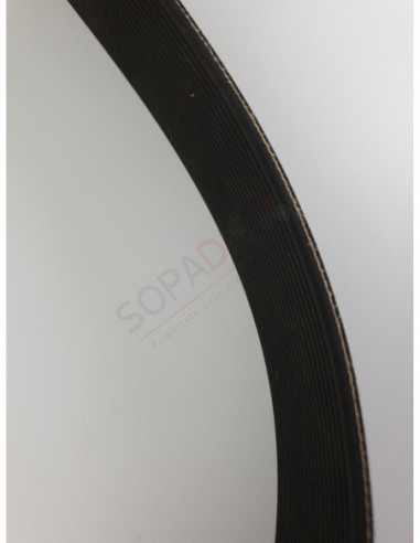 Courroie Poly V 1428 J20N