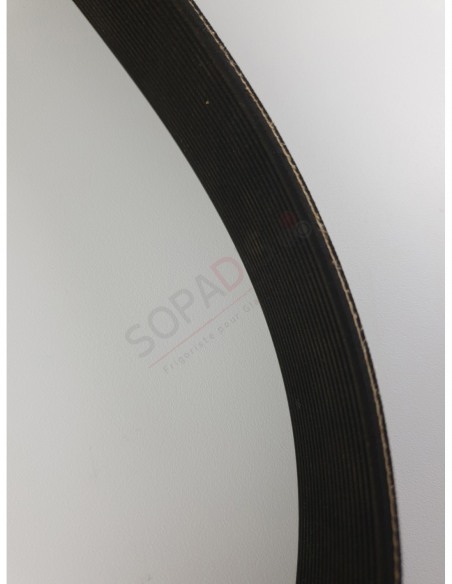 Courroie Poly V 1428 J20N