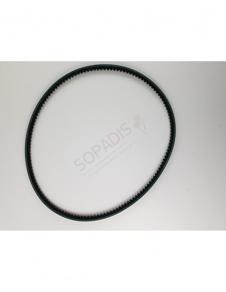 Courroie Xpz 1000