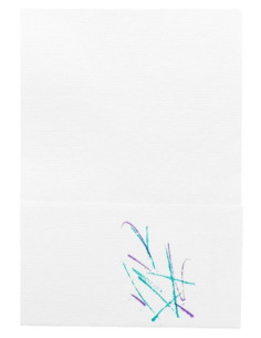 Carton de serviettes 8.5x12 cm